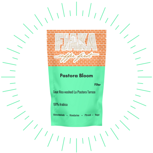 Pastora Bloom - Filter